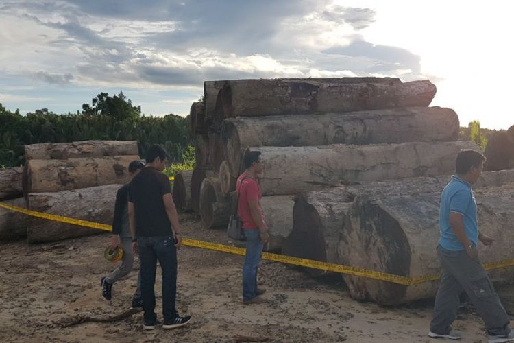 Kayu dugaan pembalakan liar di Distrik Taroi, Kabupaten Teluk Bintuni, yang di police Line oleh Direktorat Reserse Kriminal Khusus, Polda Papua Barat.