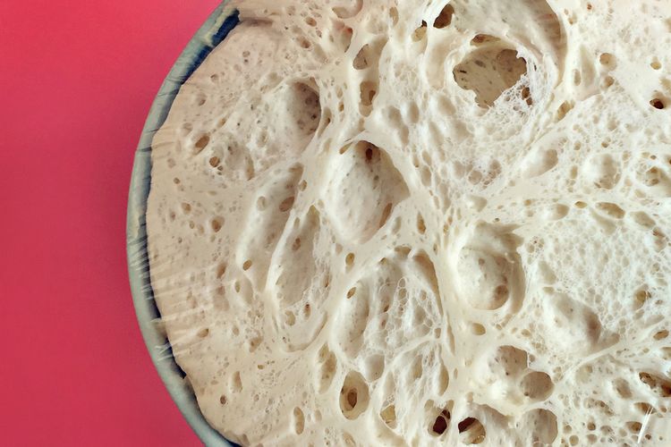 Ilustrasi adonan roti sourdough