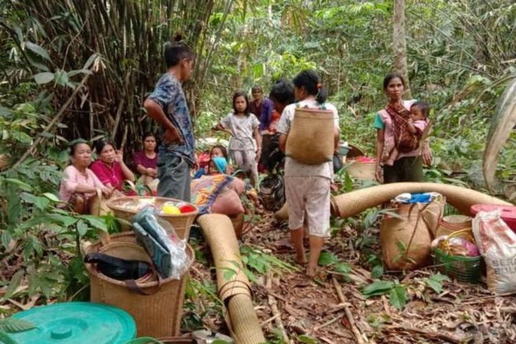 Warga Dayak Meratus di Desa Patikalain mengungsi secara swadaya ke sekitar hutan setelah kampung mereka diterjang banjir dan longsor akhir pekan kemarin