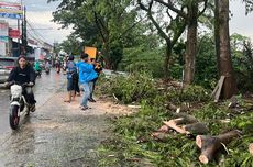 Transmigrasi Bisa Bikin Anak Muda Jadi Konglomerat, Bagaimana Caranya?