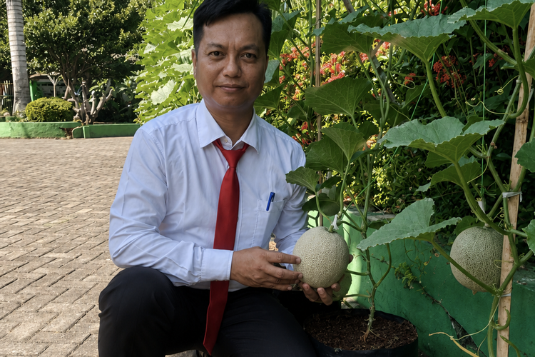 Pekarangan Kantor Dinas di Bangkalan Disulap Jadi Kebun Melon, Buahnya Mulai Banyak Dipesan