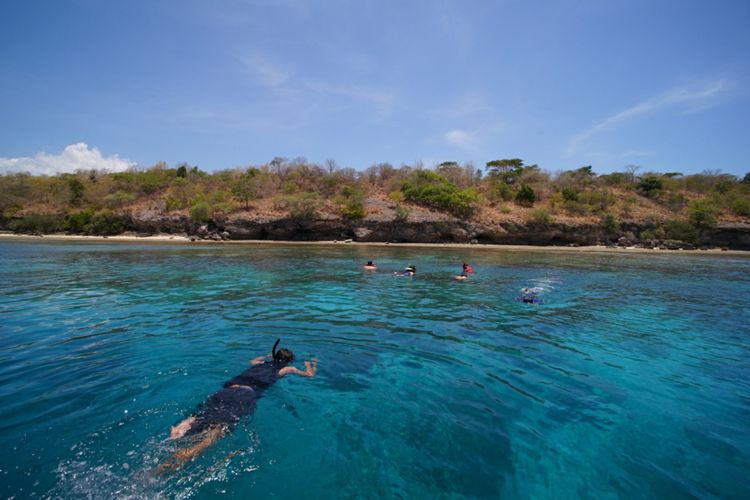 Wisatawan sedang snorkeling di sekitar Pulau Menjangan, Taman Nasional Bali Barat, Kabupaten Jembrana, Bali, Minggu (29/10/2017).