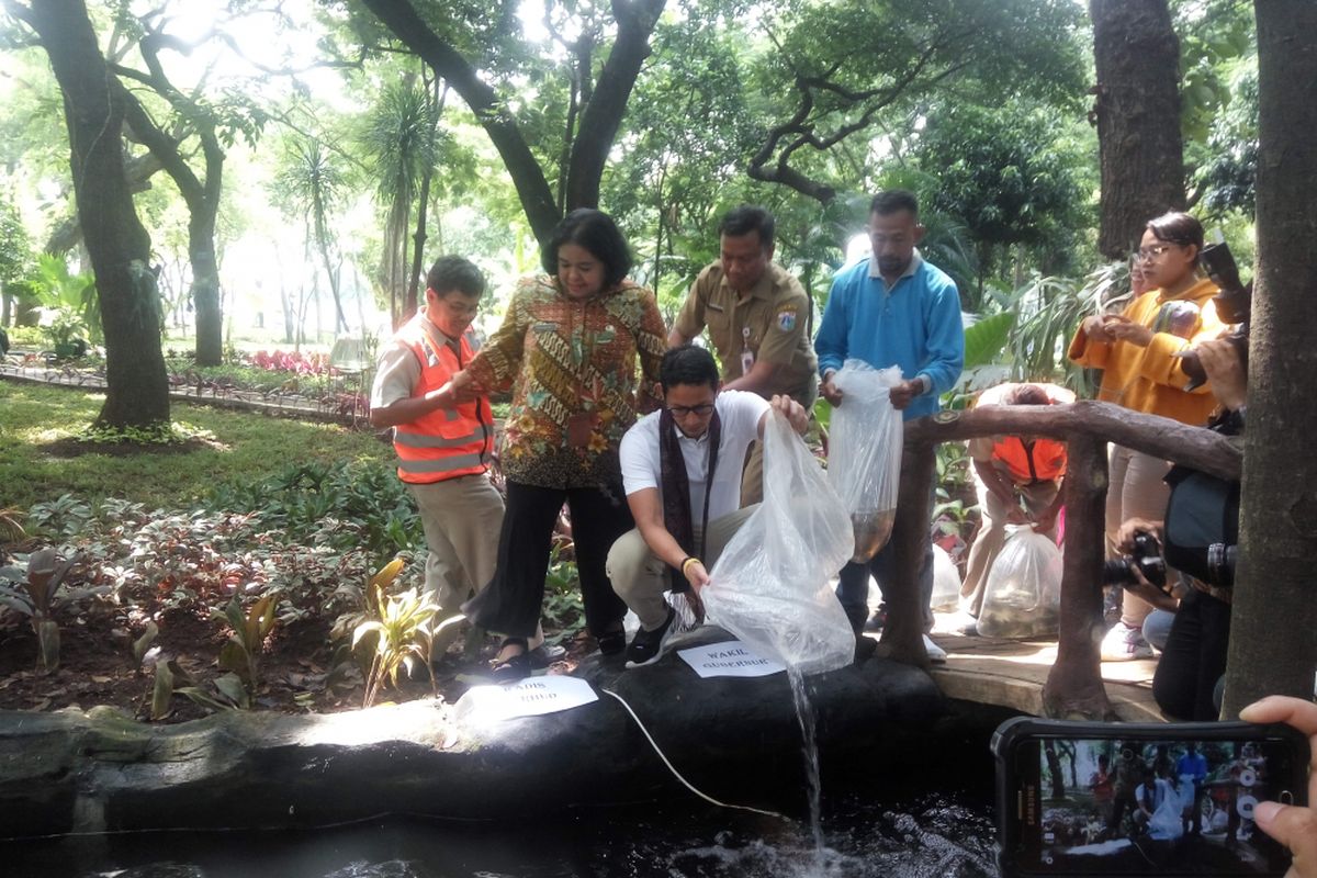 Wakil Gubernur DKI Jakarta Sandiaga Uno saat melepas bibit ikan di kawasan Monas, Jakarta, Selasa (27/3/2018).