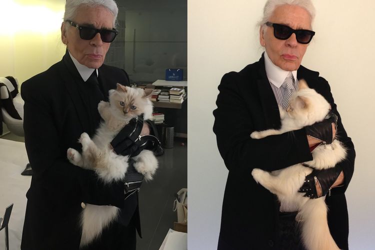 Karl Lagerfeld bersama kucing peliharaannya, Choupette.