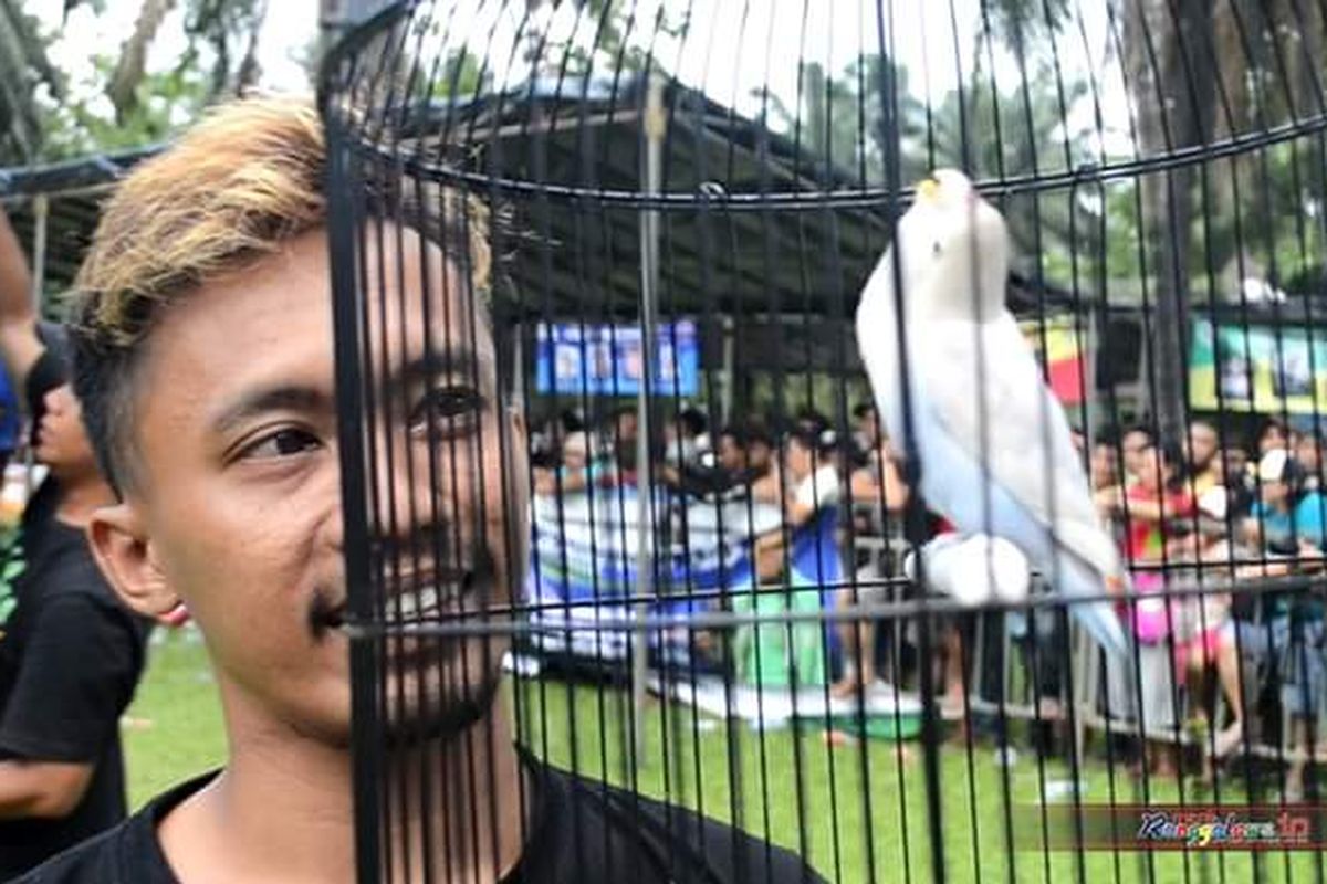 Likun dan burung lovebird kesayangannya Yakin konslet saat menjuarai salah satu perlombaan.