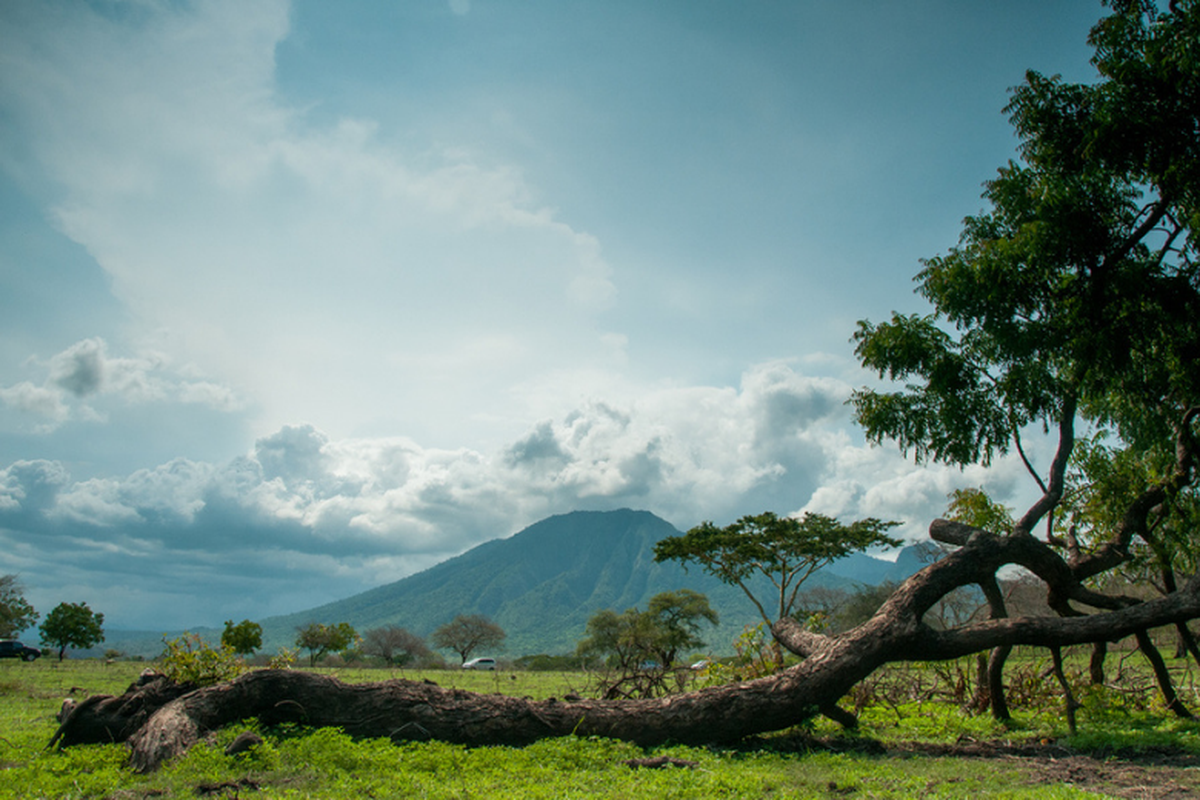 Taman Nasional Baluran.