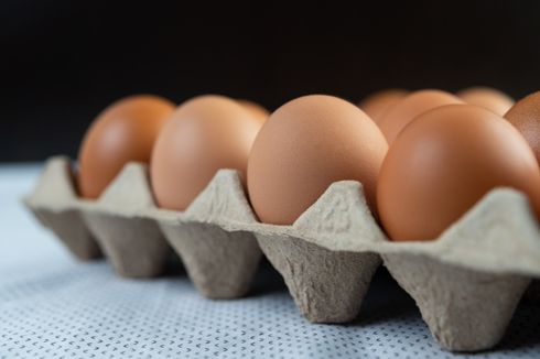 Harga Telur Ayam Tertinggi Sepanjang Sejarah, Rp 31.000 Per Kg, gara-gara Bansos? 