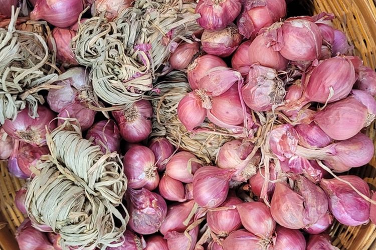 Ilustrasi bawang merah