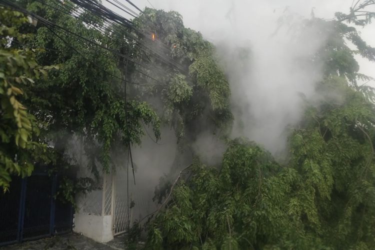 Empat pohon tumbang setelah diterjang hujan disertai angin kencang di sejumlah titik di Jakarta Selatan, Sabtu (11/12/2021) sore. 
