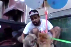 YouTuber India Ditangkap Pasca Menerbangkan Anjing dengan Balon Helium