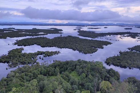 Danau Sentarum, Danau Terbesar di Kalimantan Barat yang Memiliki Dua Wajah