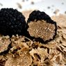 Truffle si Jamur Mahal Tak Laku Terjual Akibat Restoran Tutup Saat Pandemi