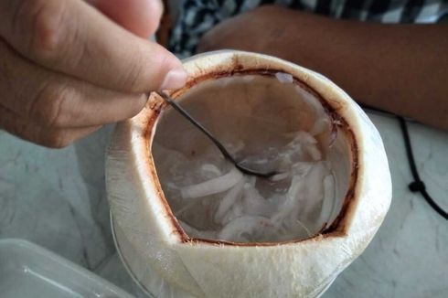 Mencoba Kelapa Muda Jelly Segar yang Lagi Hit di Lhokseumawe Aceh