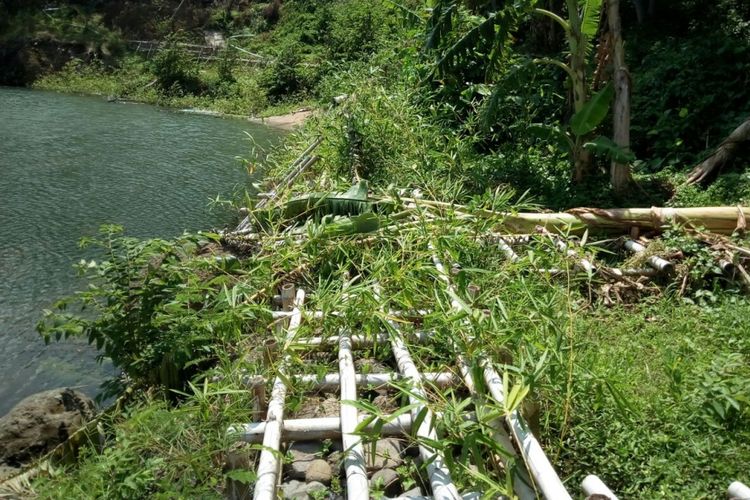 Bambu yang sudah ditanami pandan laut, rumput vertiver, dan kaliandra diharapkan dapat mengatasi tanah longsor di Kabupaten Brebes.