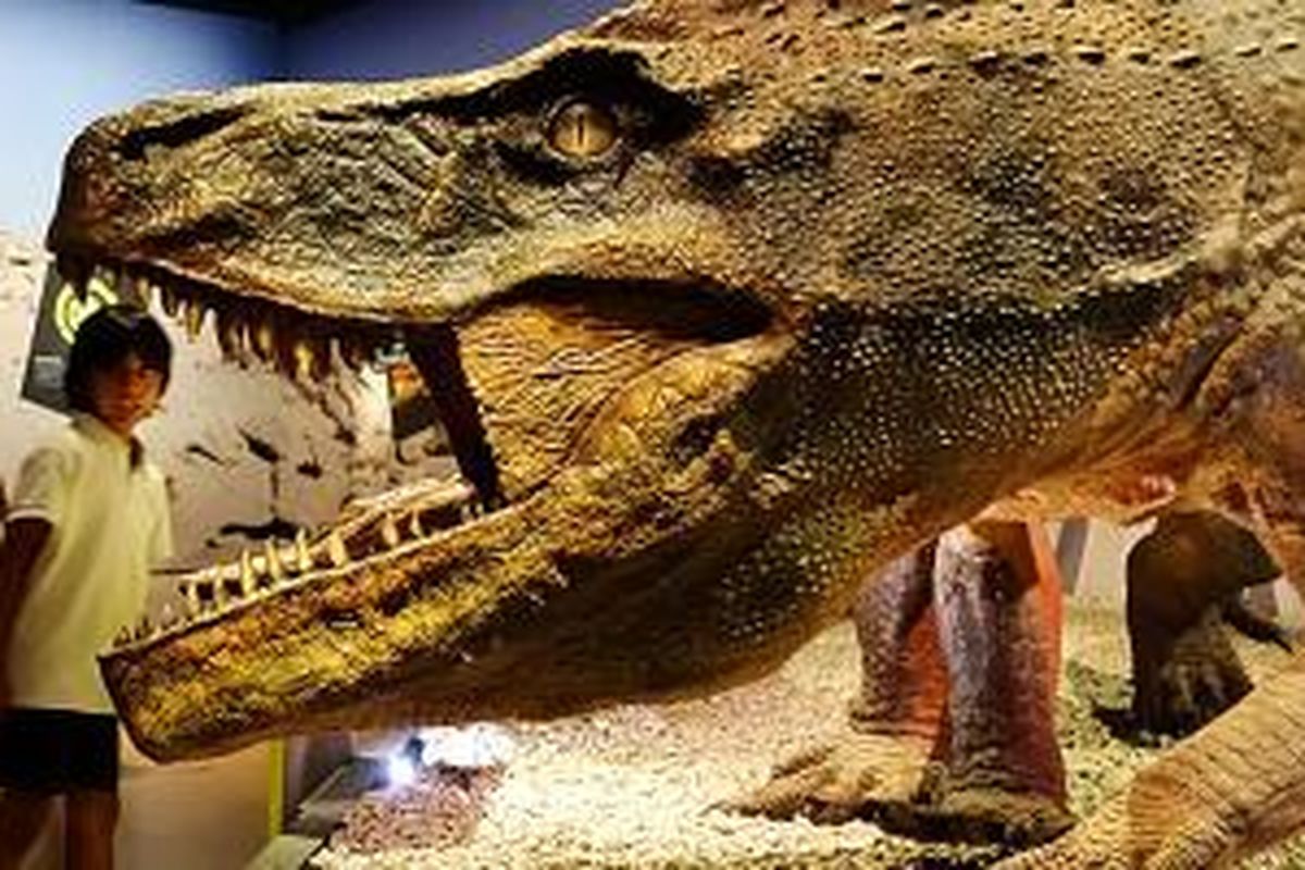 Seorang anak berpose di depan replika makhluk raksasa yang hidup di bumi jutaan tahun silam. Ekshibisi ini dihadirkan dalam Dinosaurs: Dawn to Extinction di ArtScience Museum di kompleks Marina Bay Sands, Singapura, Kamis (5/6/2014). Ekshibisi ini bisa dinikmati hingga 28 Juli 2014.