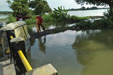 Warga Panen Ikan Tengah Musibah Banjir