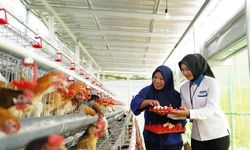 Setahun Hadir di Tengah Masyarakat, Program Ketahanan Pangan PNM Bantu Warga Penuhi Gizi dan Kebutuhan Pangan