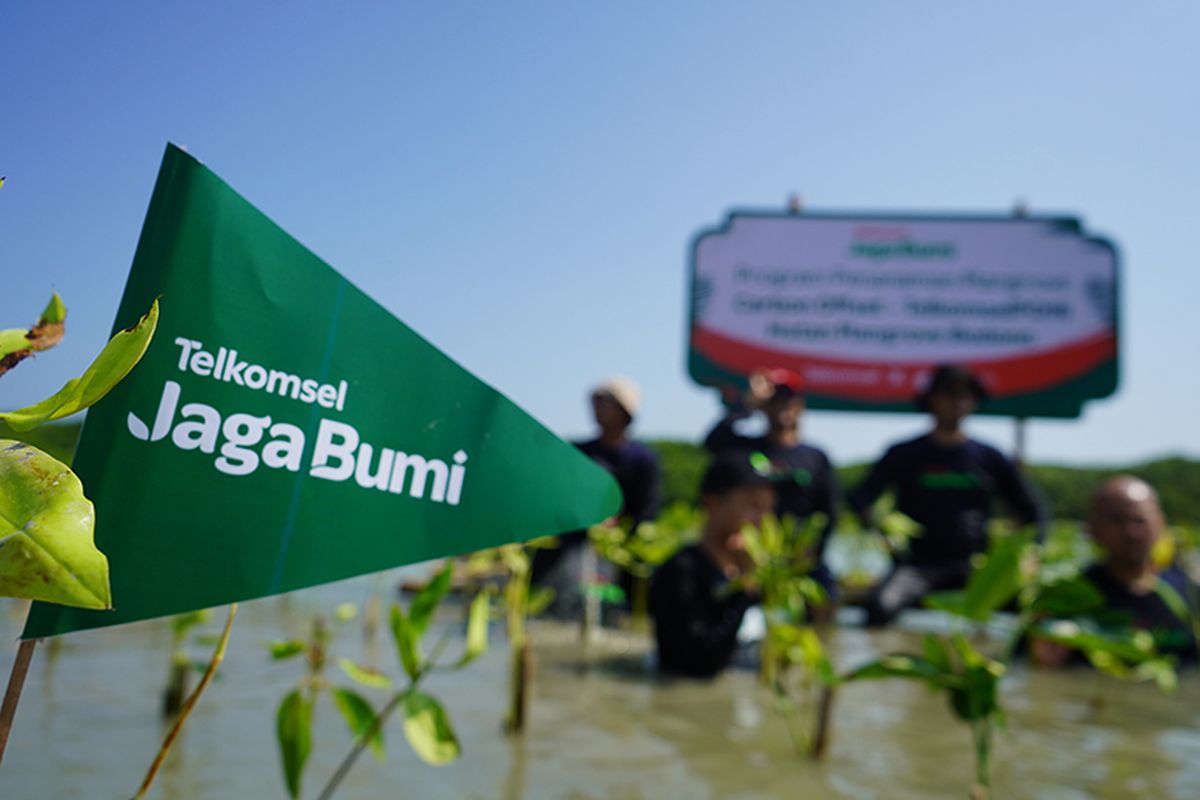 Lewat inisiasi Telkomsel Jaga Bumi, Telkomsel tanam 15.060 pohon di kawasan hutan mangrove. 