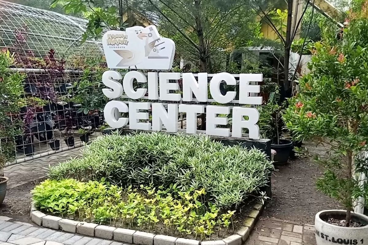 Kebun Raya Mangrove, Gunung Anyar, Surabaya