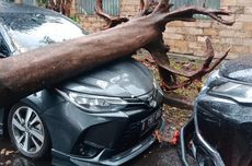 Pohon Tumbang Timpa Mobil di Kebayoran Lama akibat Diterpa Angin Kencang