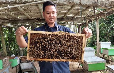 Doni Sukses Berbisnis Madu setelah Tinggalkan Zona Nyaman sebagai ...