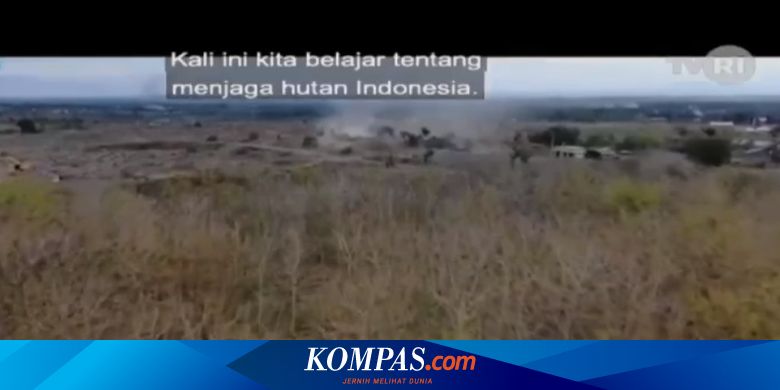 Soal Dan Jawaban Menjaga Hutan Indonesia Belajar Dari Tvri Untuk Smp Halaman All Kompas Com