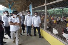 KemenkopUKM Dorong Peternak Ayam Ciremai Group untuk Manfaatkan KUR Klaster Pertanian