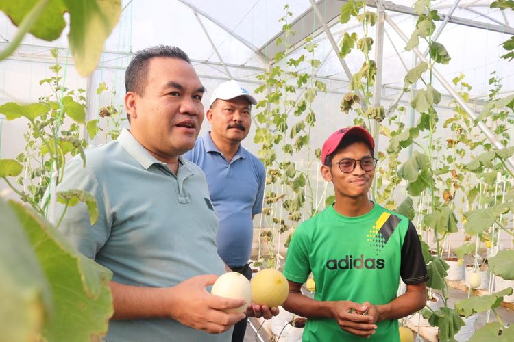 Bupati Blora Arief Rohman saat mengunjungi Agrowisata Girli Farm, Desa Sumberejo, Selasa (18/6/2024).
