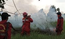 Karhutla Capai 8.594 Hektare hingga Juli 2025, Terbanyak di NTT
