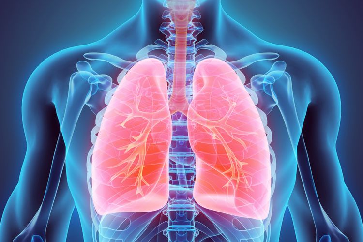 Ada sejumlah penyebab penyakit paru-paru yang mungkin tidak diperhatikan, seperti radon, karpet yang kotor, dan pestisida. 