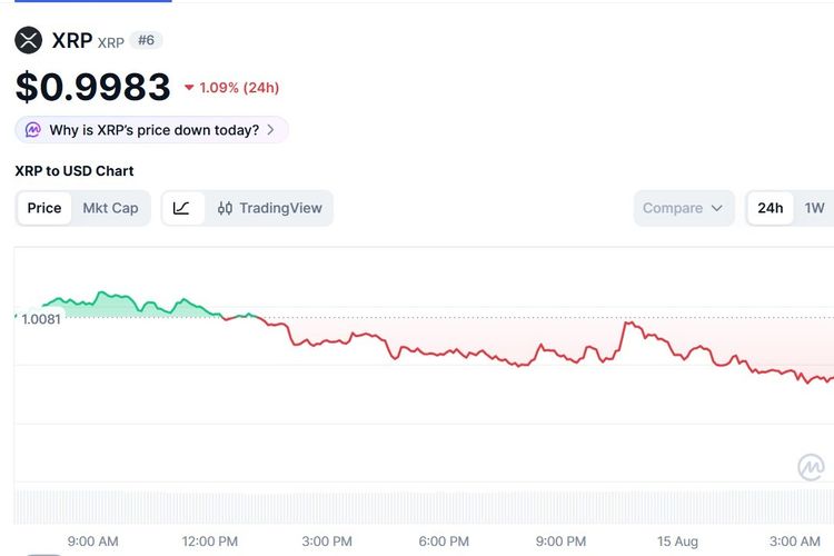 Harga XRP Hari Ini 15 Agustus 2026 Anjlok Tajam Ikuti Tren Negatif Kripto