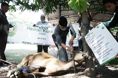 Bantu Korban Bencana, Program THK Dompet Dhuafa Dipuji Gubernur Sulsel