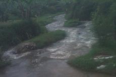 Menteri LH: 75 Persen Sungai di Indonesia Tercemar Berat