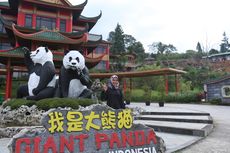 Istana Panda Indonesia dan Aneka Cendera Mata Lucu