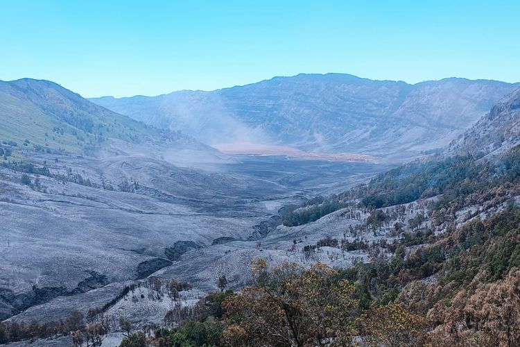 Kondisi padang Savana TNBTS gosong akibat kebakaran hutan dan lahan.