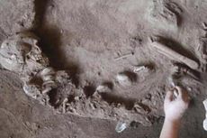 Kerangka Manusia Prasejarah Kembali Ditemukan di Goa Kidang