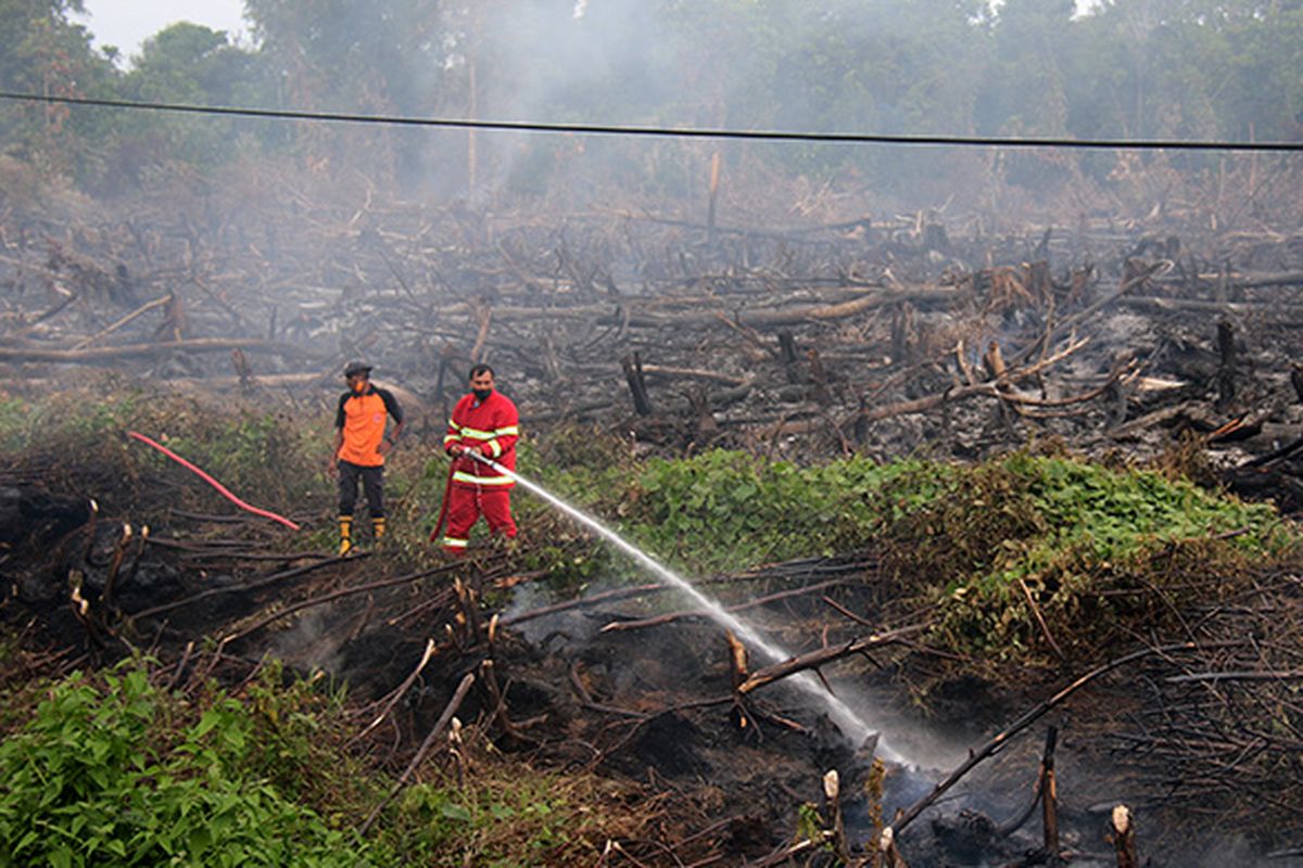 Petugas dari BPBD Kabupaten Aceh Barat sedang melakukan upaya pemadaman api kebakaran lahan gambut di Kecamatan Arongan Kambalek, Kabupaten Aceh Barat, Minggu (23/7/2017).
