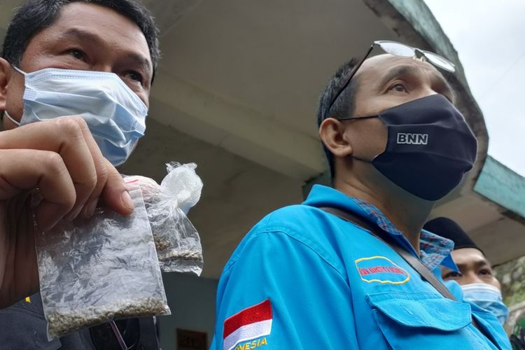 Petugas BNN Kota Tasikmalaya, menunjukkan hasil bibit budidaya ganja dan 45 batang pohon ganja yang tertanam di polybag saat penggerebekan rumah di Kampung Cisirah, Desa Cibahayu, Kecamatan Kadipaten, Kabupaten Tasikmalaya, Selasa (20/10/2020) kemarin