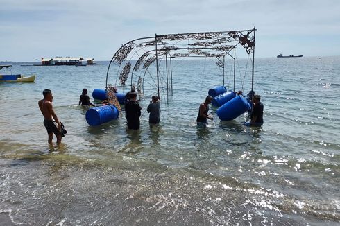 Cerita Nelayan Pantai Bangsring Banyuwangi Jaga Ekosistem Laut, Manfaatkan Terumbu Karang