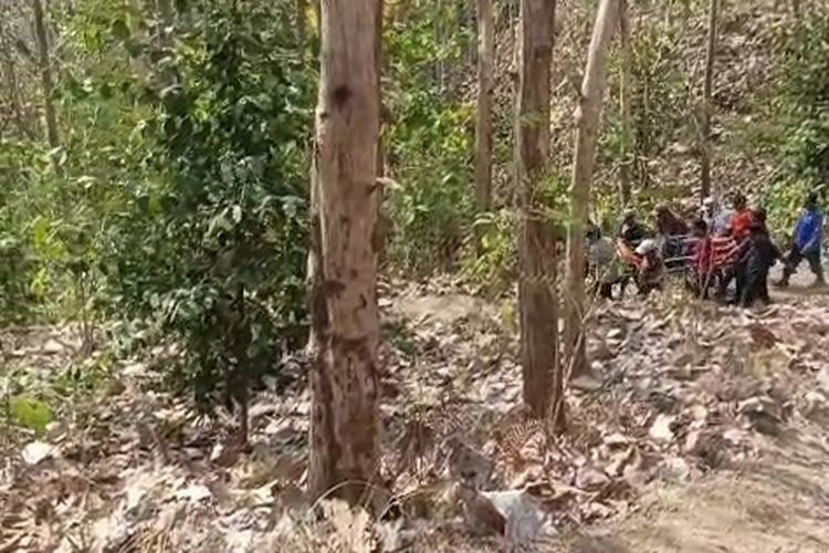 Kebakaran Lahan di Banyumas Telan Korban Jiwa, Lansia Meninggal Diduga Terjebak Asap