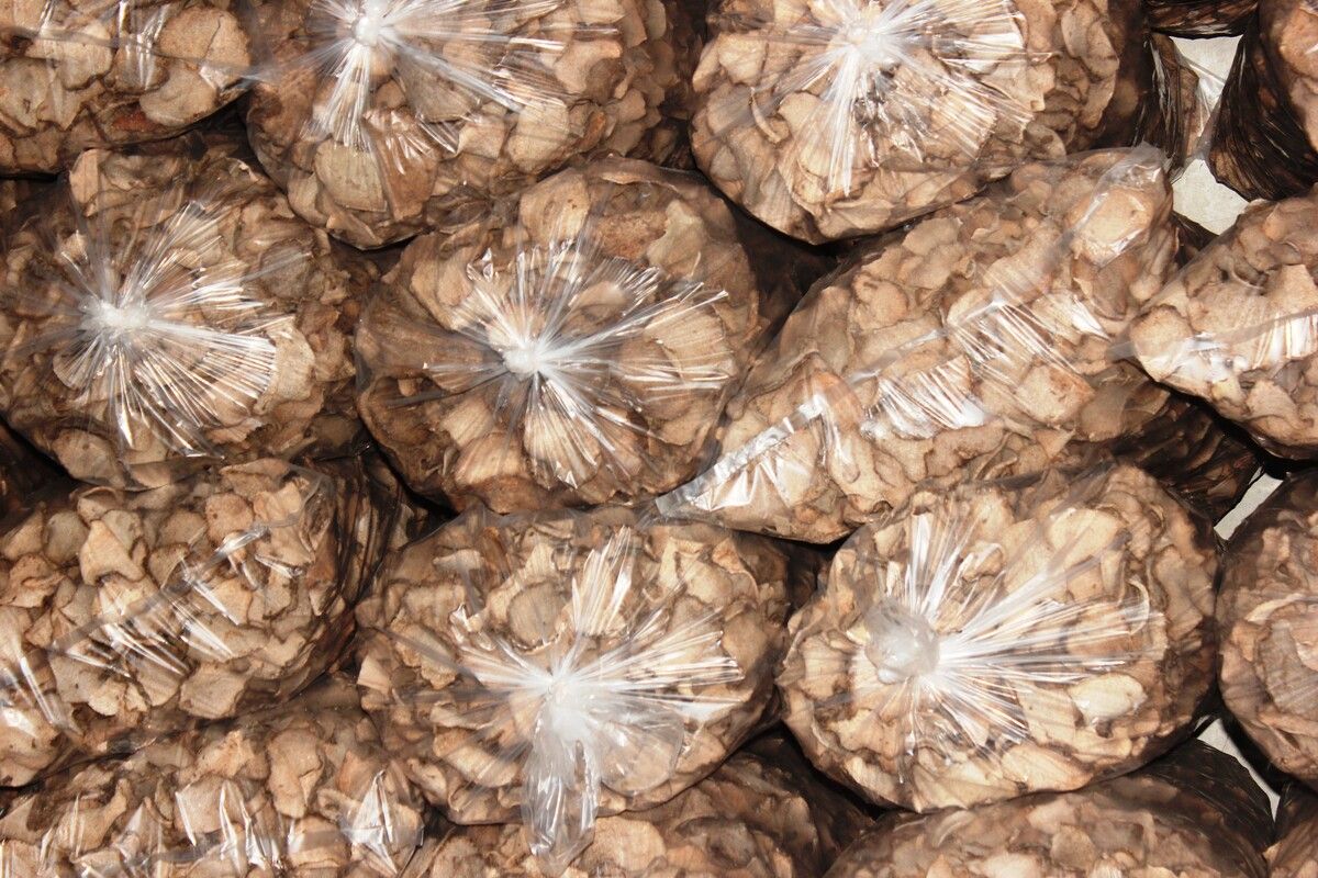 Chips porang yang diolah petani Cianjur, Jawa Barat, siap dipasok ke pabrik.
