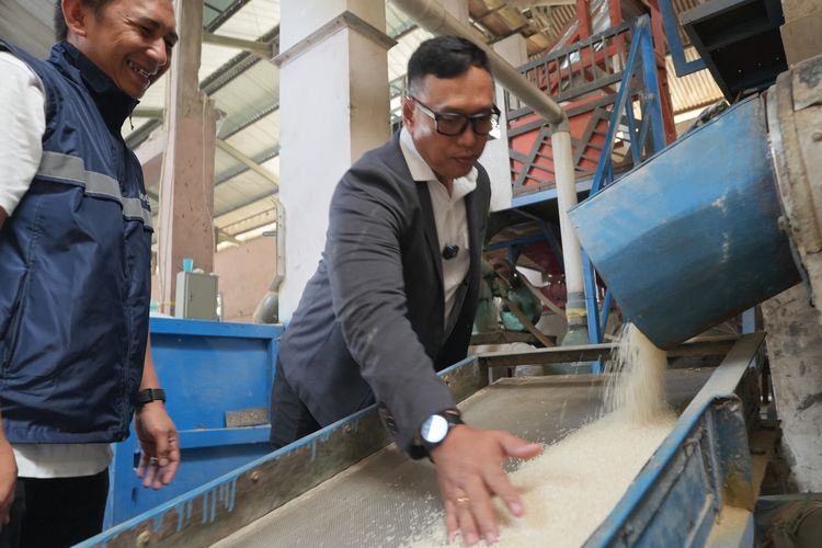 Margin Naik Jadi 7 Persen, Bulog Optimistis Raup Laba Rp 1,14 Triliun