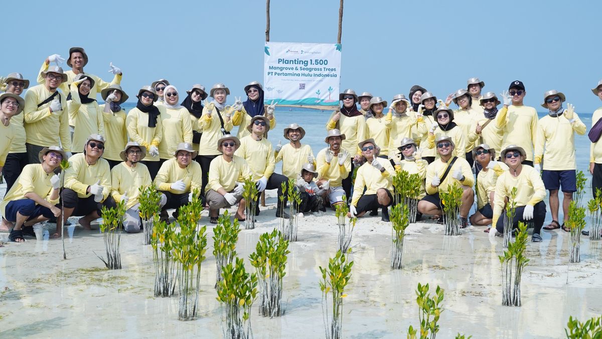 Mangrove dan Lamun Dinilai Penting bagi Ekonomi Pesisir