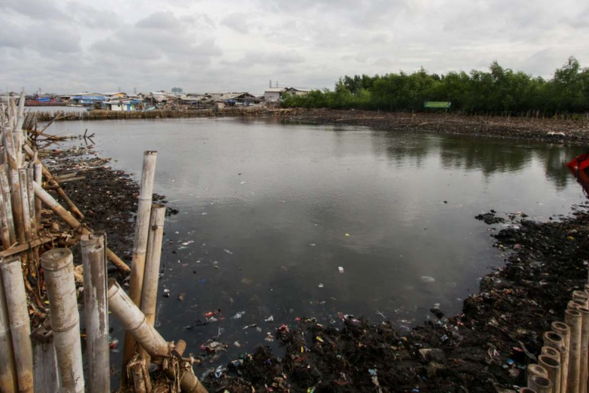 Teluk Jakarta Tercemar Parasetamol Konsentrasi Tinggi DLH Uji