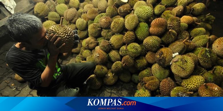 Jangan Takut Makan Durian Ini 3 Tips Usir Mabuk Durian