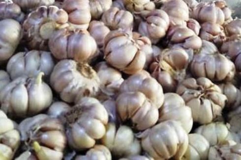 Indef: Harga Bawang Putih Melonjak, Konsumen Rugi Hingga Rp 247 Miliar