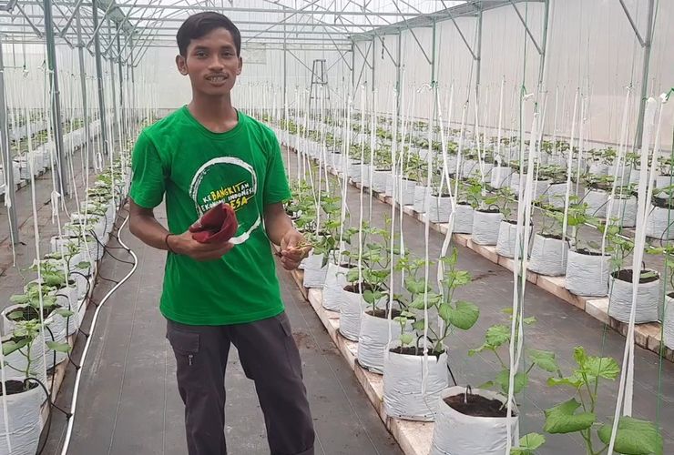 Kisah Adi Latif Mashudi, Petani Milenial Blora yang Sempat Kerja di Korea Selatan (Bagian 2)