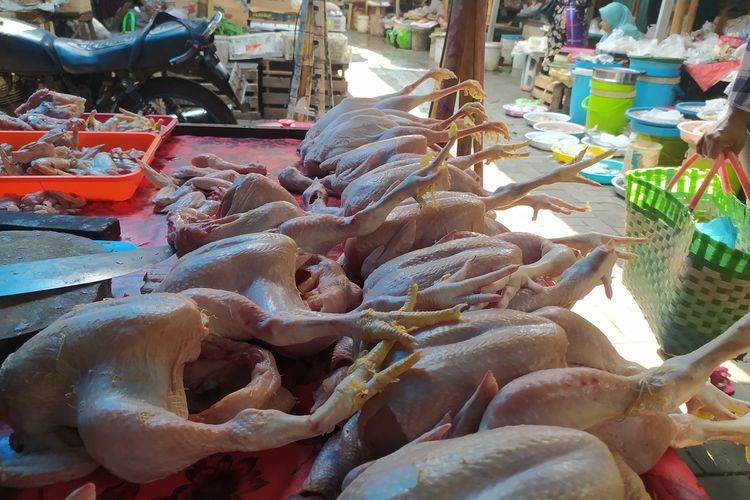 Harga daging ayam di Kota Semarang, Jawa Tengah naik tajam