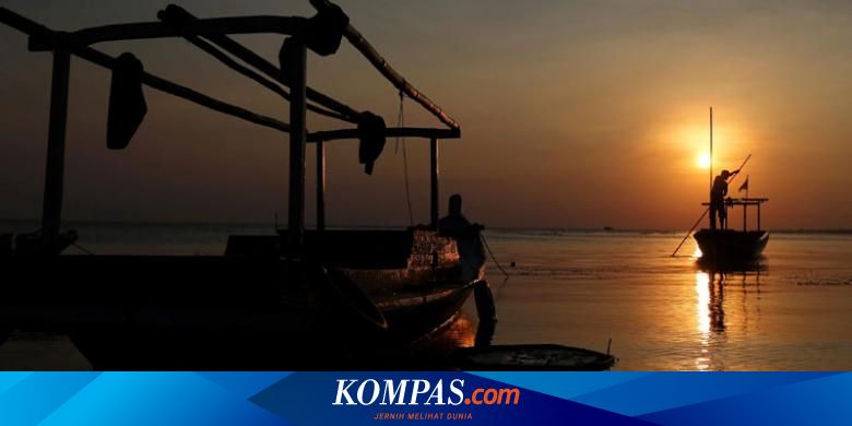 Undip Tawarkan Beasiswa bagi Anak Nelayan yang Ingin Kuliah - Vimarsana News