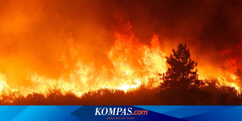 Canadian Heat Impact: Hundreds Died, Fire and Windows Melted All